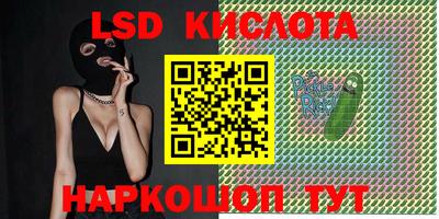 mdpv Камышлов