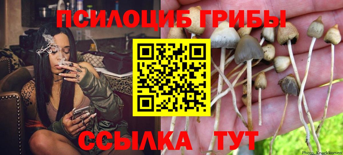 Галлюциногенные грибы GOLDEN TEACHER Надым