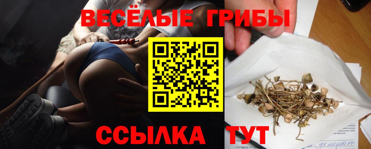 Надым  Псилоцибиновые грибы Magic Shrooms  Вход с VPN 